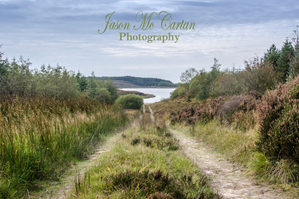 _DSC0555_web2350x1600