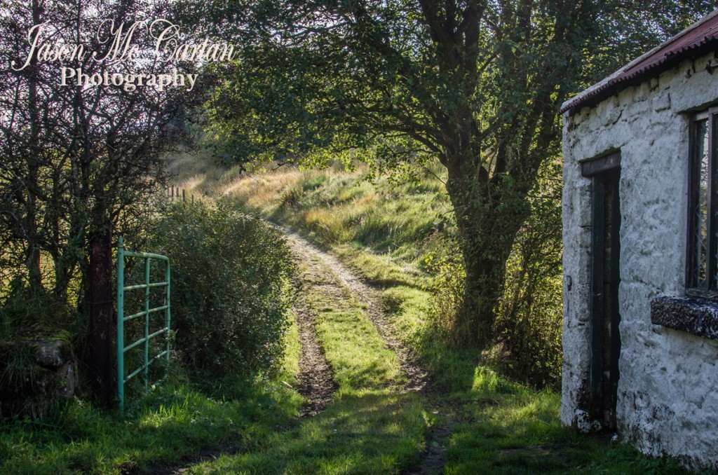 _DSC0692_Web1200x800