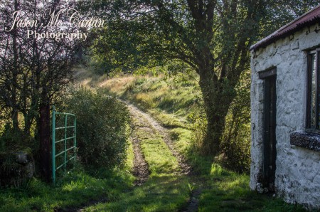 _DSC0692_Web1200x800