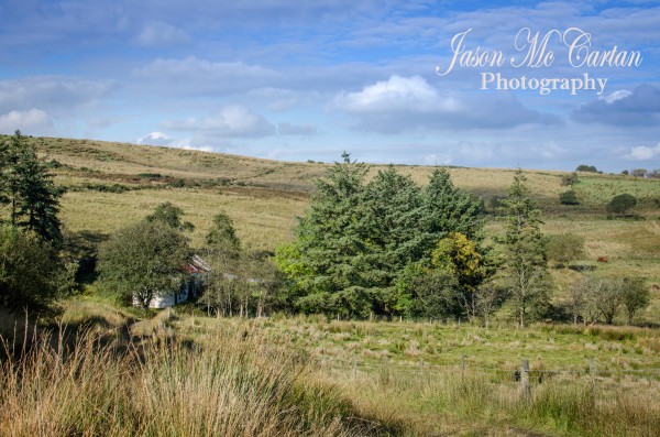 _DSC0718_Web1800x1200